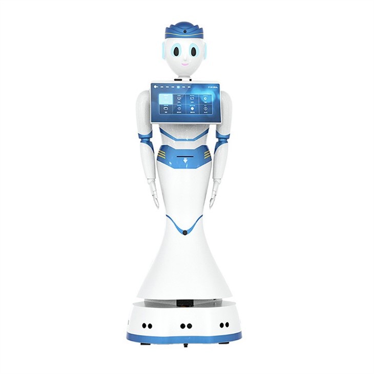 Humanoid Service Robot