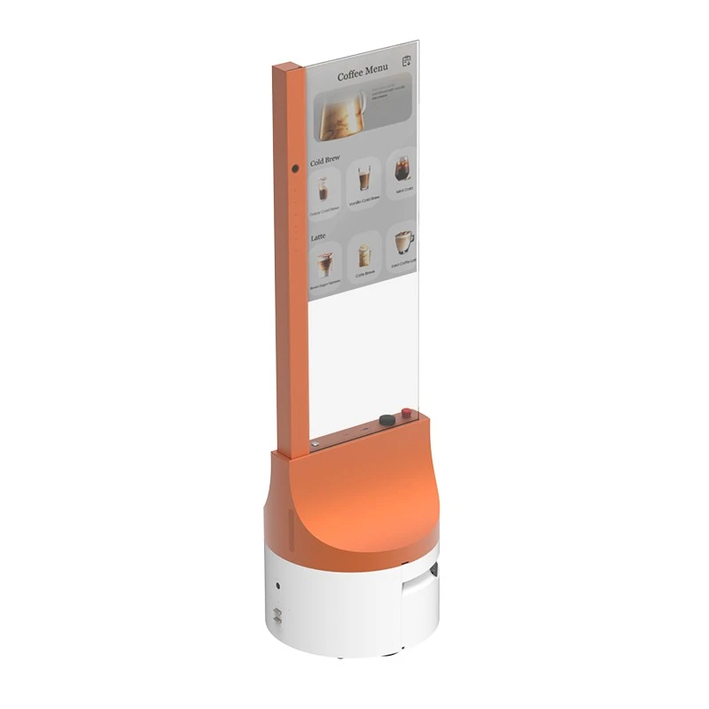 OLED Advertising Robot